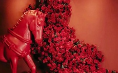 亚洲欧洲一码二码区别在哪